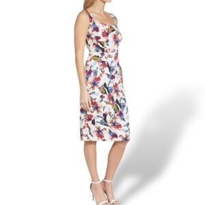 Maggy London Watercolor Tea Rose Floral Midi Dress
